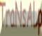 TransAlp2003