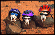 Torsten Mountainbike-Page