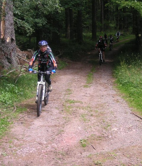 MtBCamp