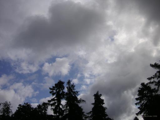 PICT0392