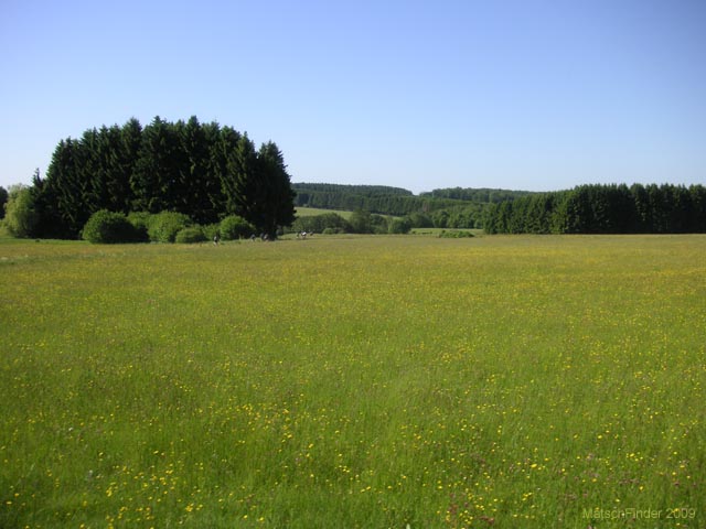 PICT0048