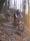 Paethsche im Fruehling
