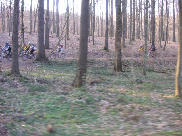 PICT0316