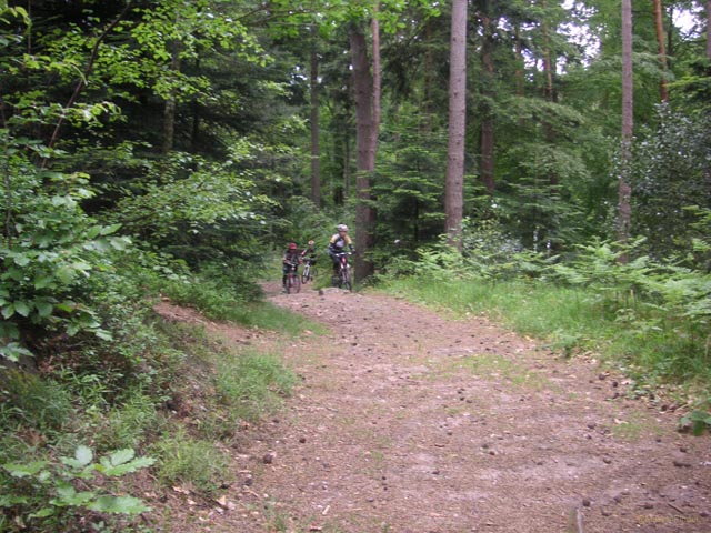 PICT0237